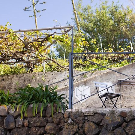 Ek Las Vistas Finca El Milagro La Orotava Luaran gambar