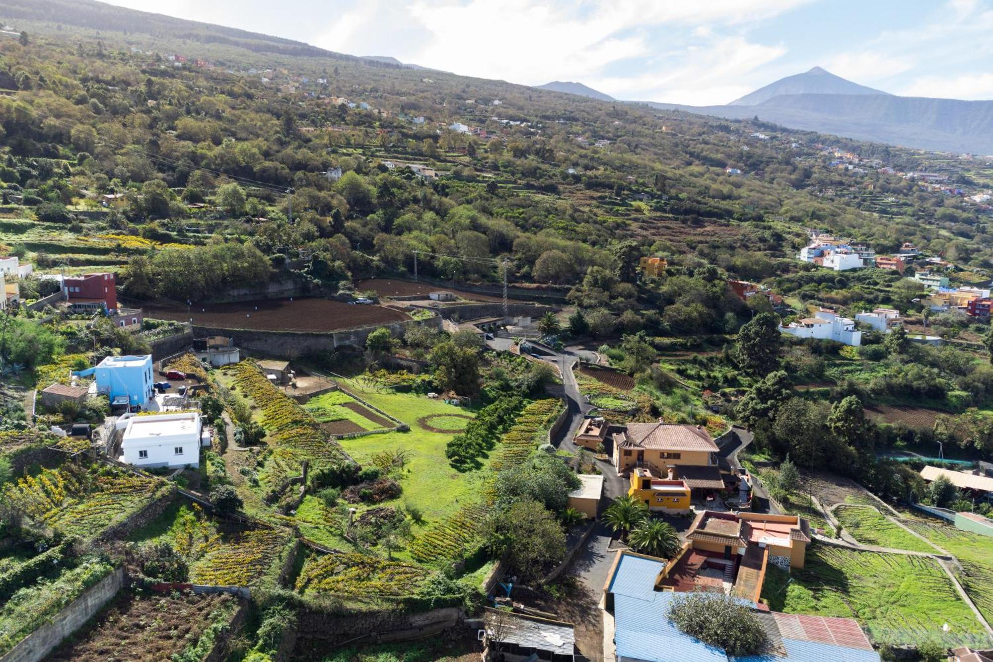Ek Las Vistas Finca El Milagro La Orotava Luaran gambar
