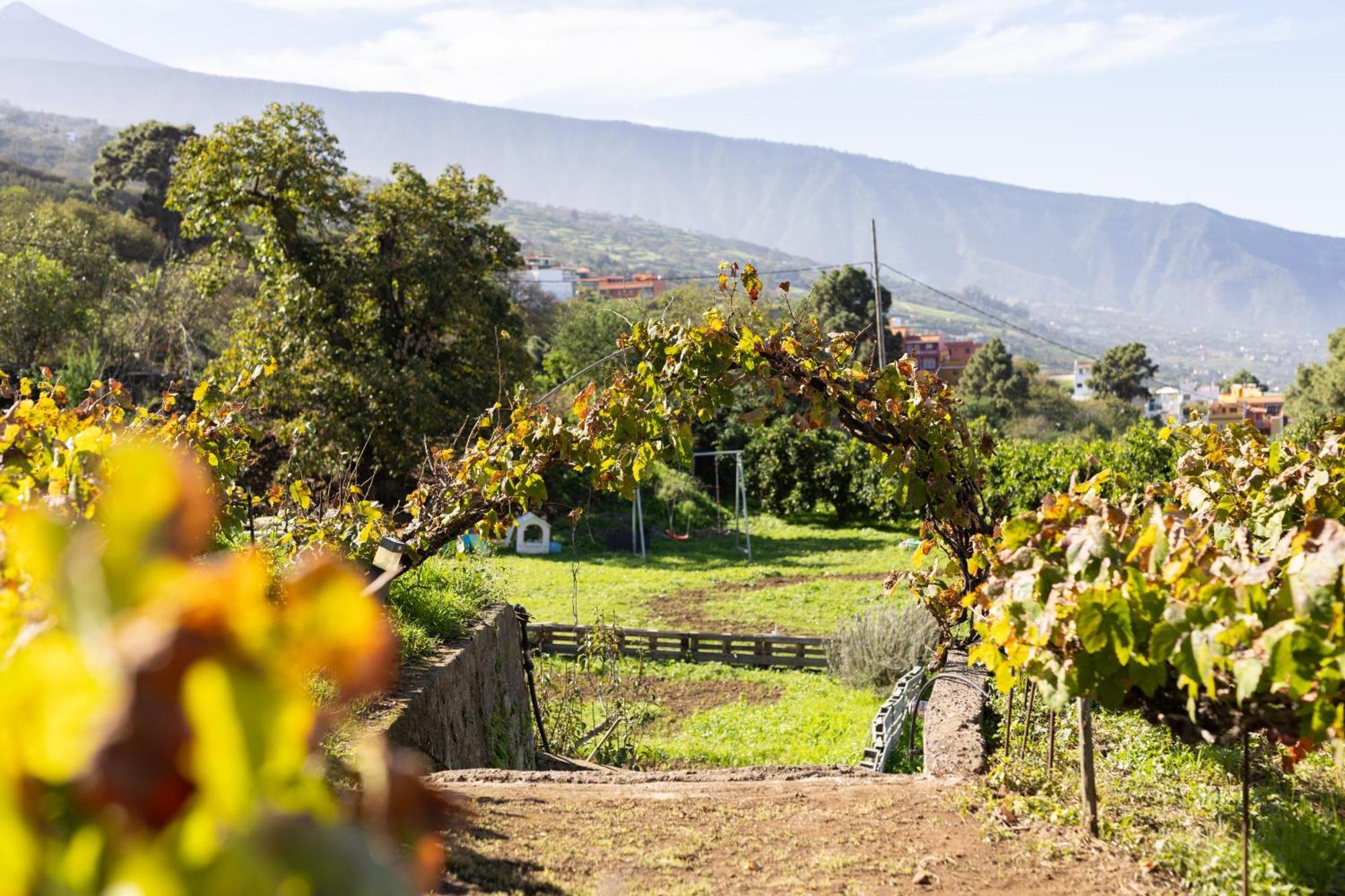 Ek Las Vistas Finca El Milagro La Orotava Luaran gambar