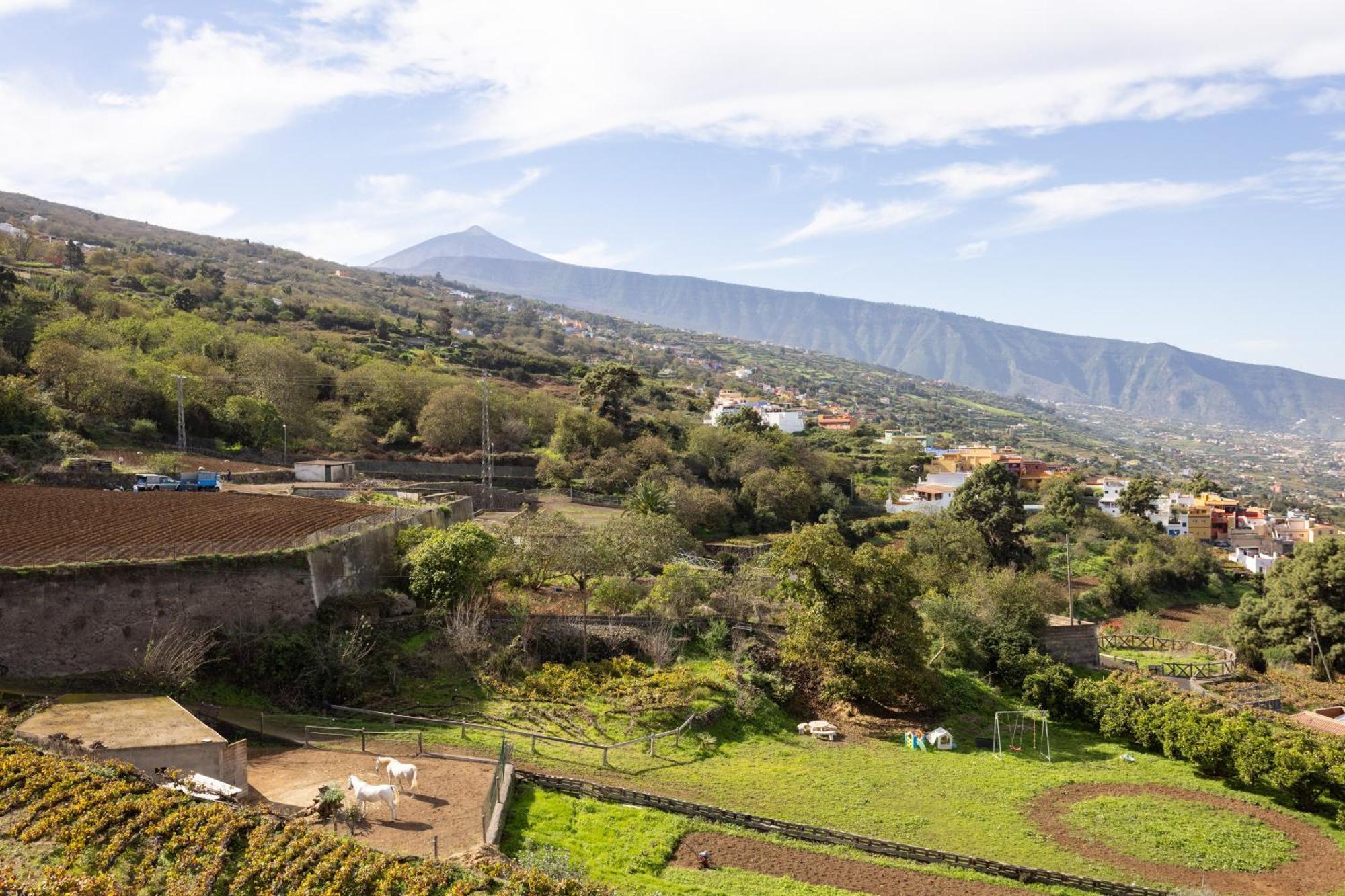 Ek Las Vistas Finca El Milagro La Orotava Luaran gambar