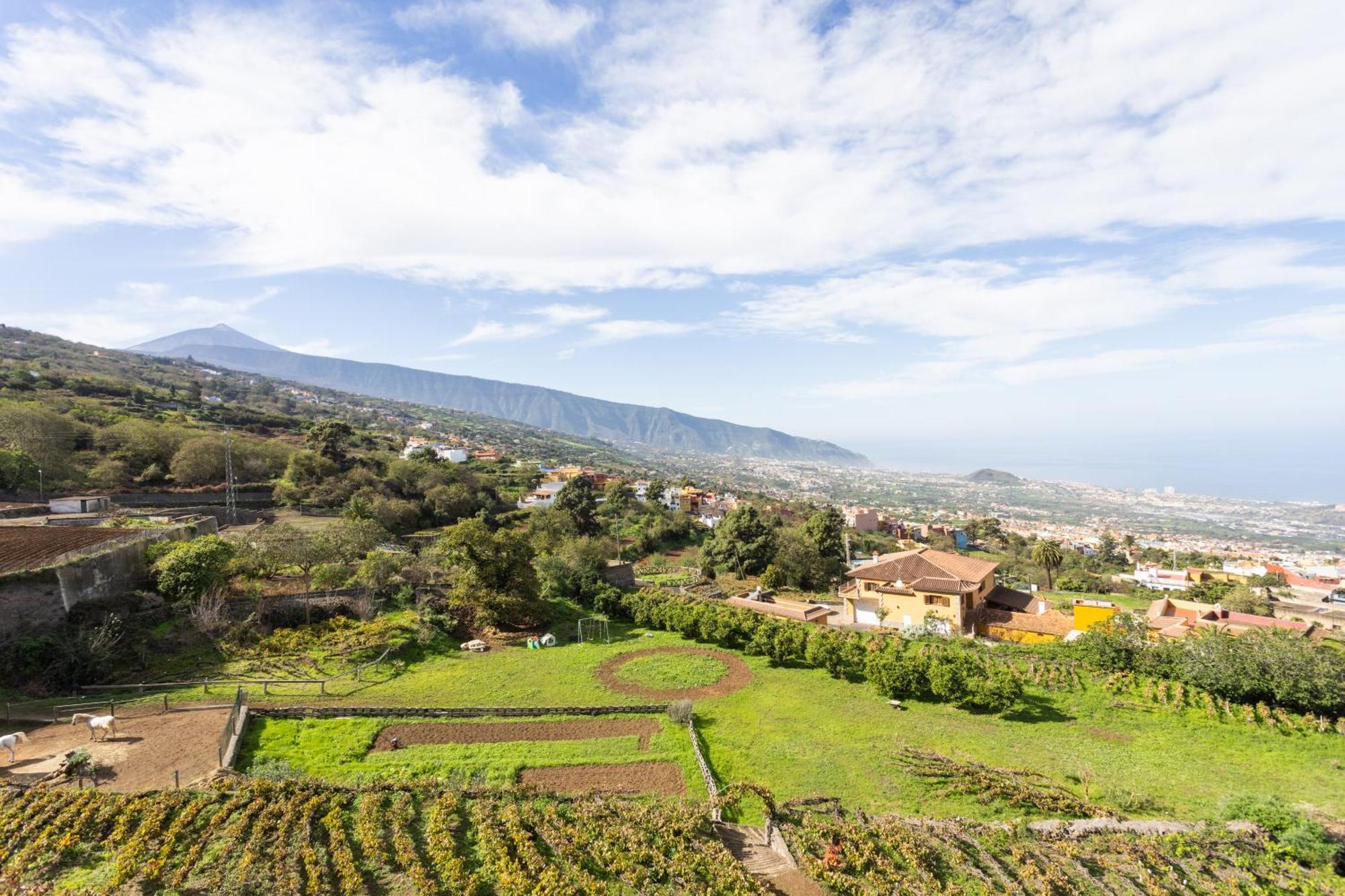Ek Las Vistas Finca El Milagro La Orotava Luaran gambar